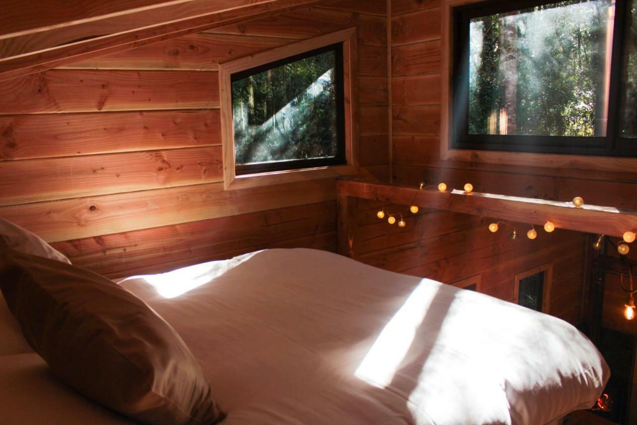 Cabanas Bosque Milenario Coñaripe エクステリア 写真