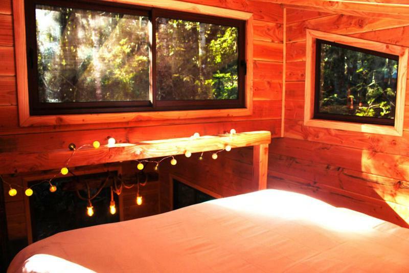 Cabanas Bosque Milenario Coñaripe エクステリア 写真