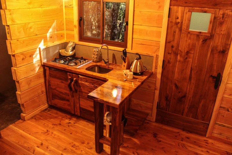 Cabanas Bosque Milenario Coñaripe エクステリア 写真