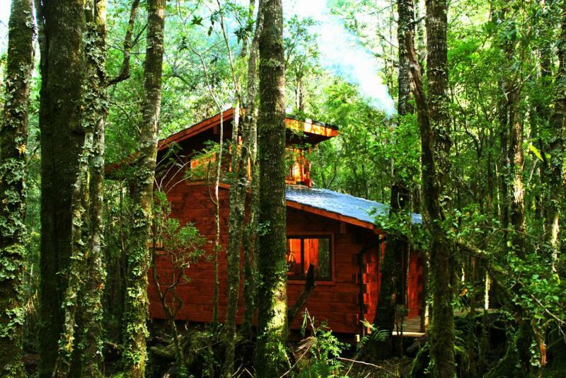 Cabanas Bosque Milenario Coñaripe エクステリア 写真