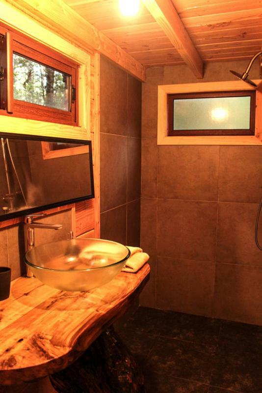 Cabanas Bosque Milenario Coñaripe エクステリア 写真